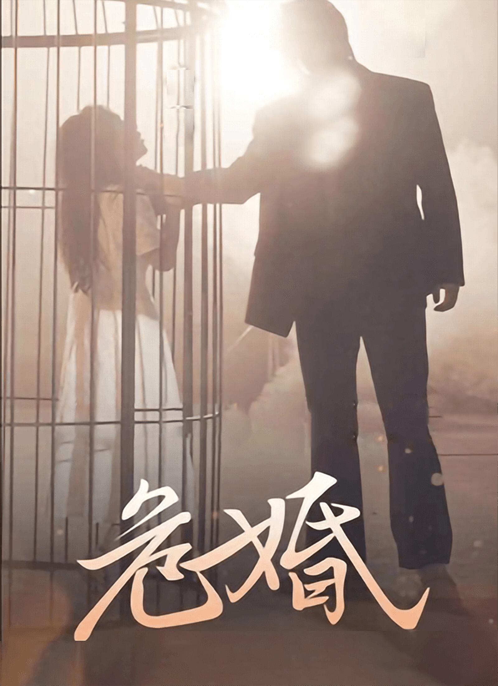 《危婚》封面