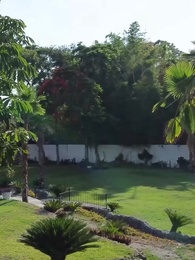 Bölüm 44 - Mirasçımla Noel