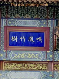 Tập 49 - Nỗi Hận Trường Ly