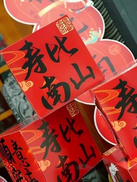 Fake Son, True Betrayal - Episode 35