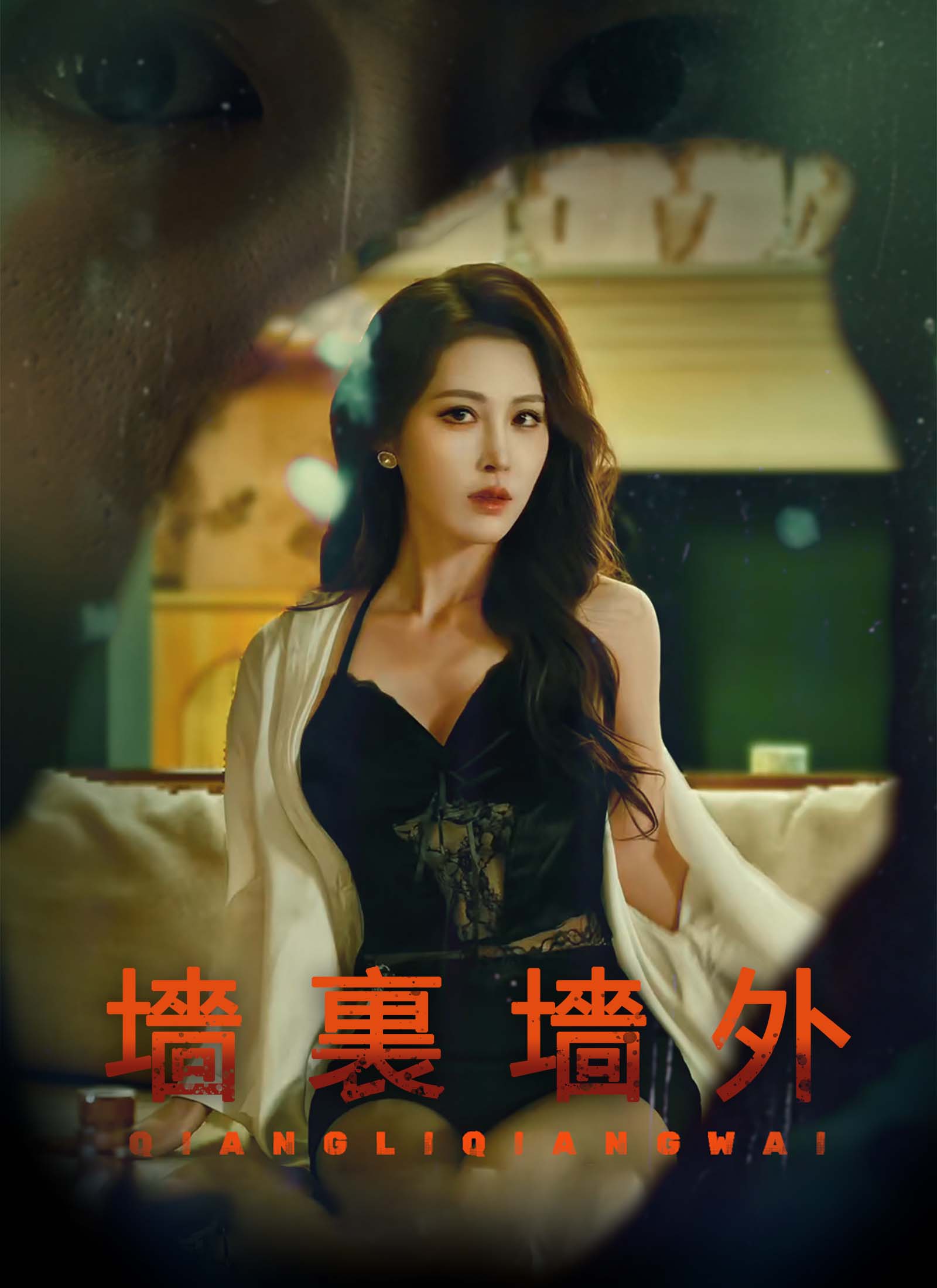 《墻裏墻外》封面