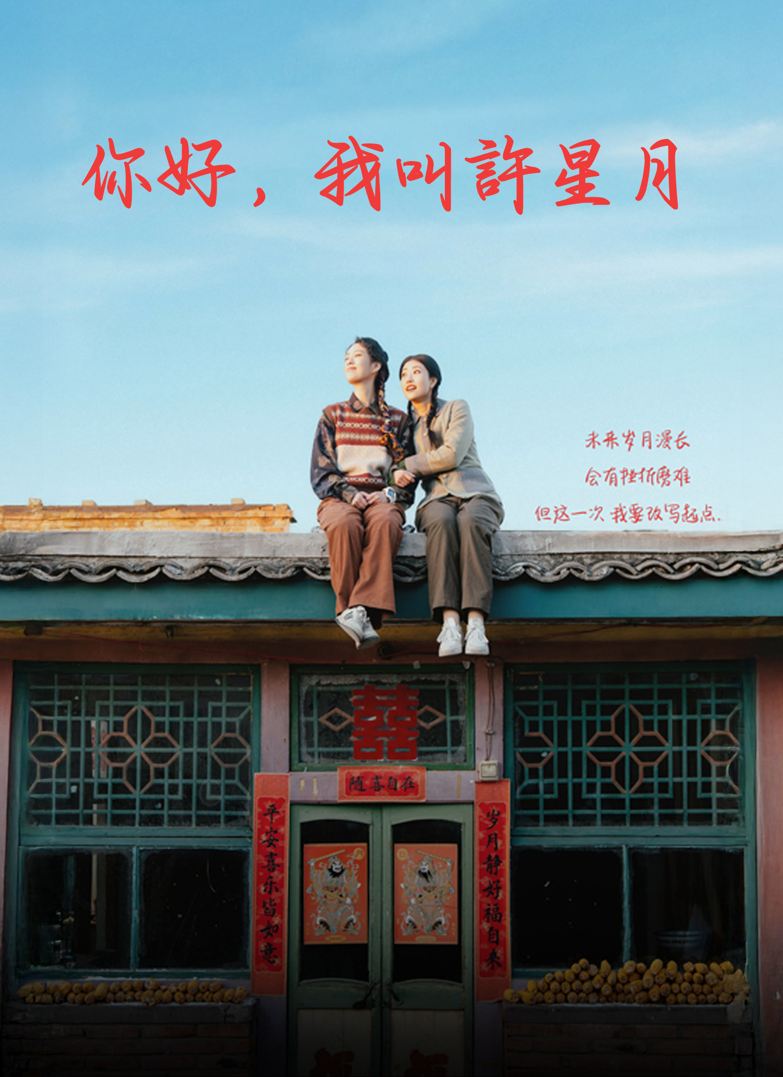 《你好，我叫許星月》封面