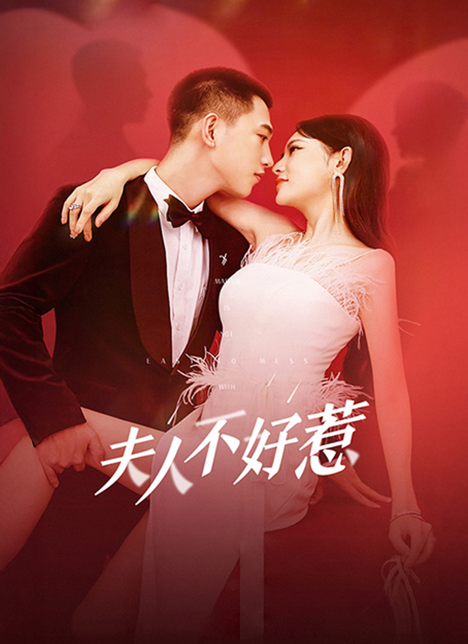 《夫人不好惹》封面