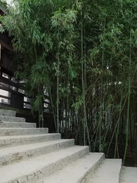 Bölüm 76 - Kralın Gözdesi