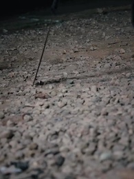 第2集 - 華夏戰神