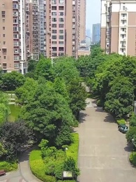 第16集 - 龍王醫婿