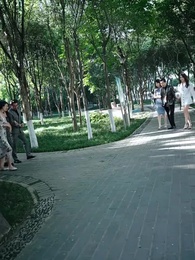 第73集 - 華夏戰神