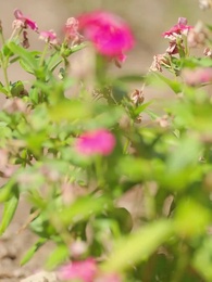 L'Attente - Episode 9