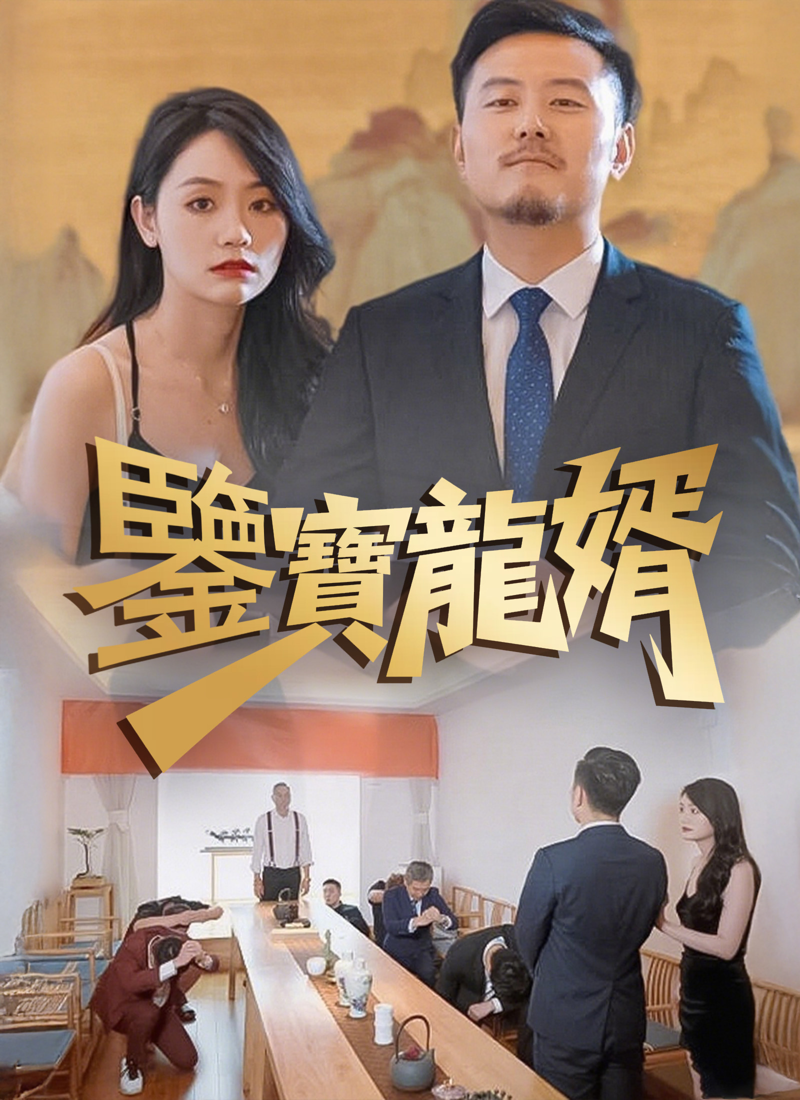 《鑒寶龍婿》封面