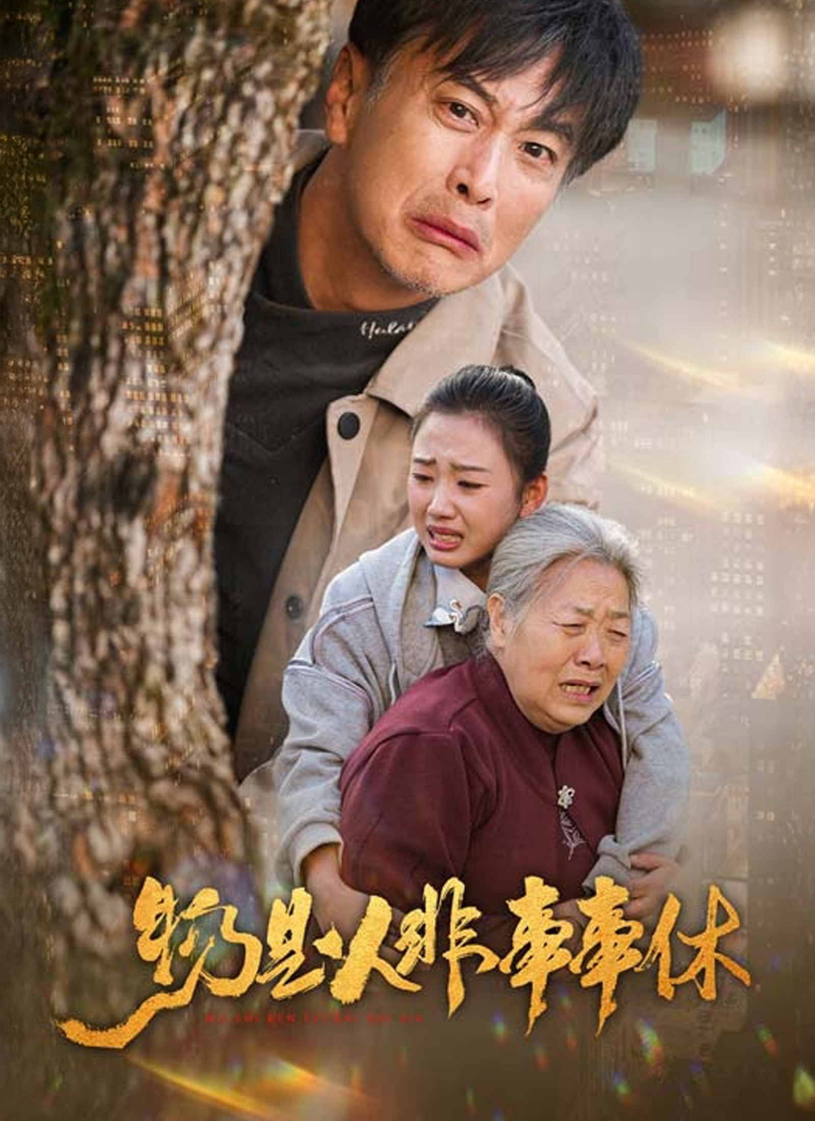 《物是人非事事休》封面