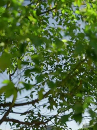 Episode 26 - Winds of Change