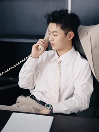 ボスからの引退、努力あるのみ - Episode 41