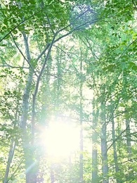 Episode 51 - My Accidental CEO Hubby