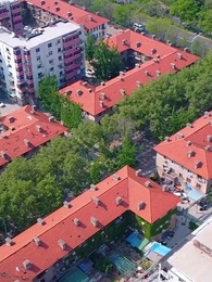 第65集 - 龍王醫婿