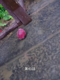 [吹替]この世は神の世界をも超え - Episode 41