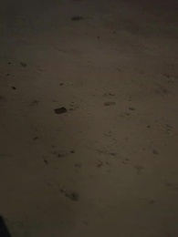 第78集 - 億萬首富繼承人