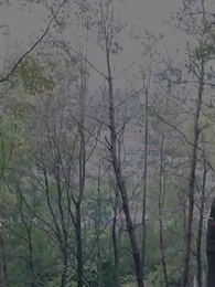 第92集 - 逆命神醫