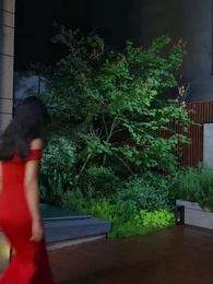 第48集 - 閃婚急診