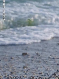 第97集 - 穿書之豪門替嫁