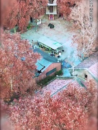 第1集 - 雲城炸雞，請君入甕