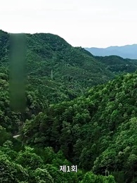 요리 여신 - Episode 1