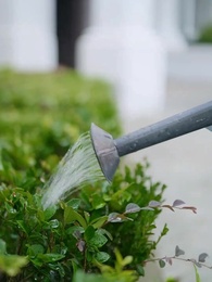 篠原家復讐綺譚 - Episode 62