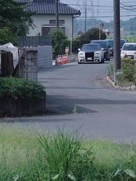 Episodio 11 - Amor bajo contrato