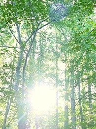 Episodio 51 - Amor bajo contrato