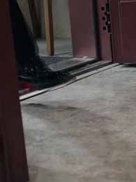 Episodio 15 - Lontano da Casa, Sono la Tua Preferita.