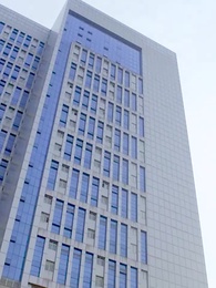 女總裁的極品保安 - Episode 16