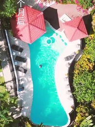 第36集 - 花謝不識君