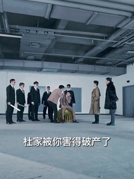 第33集 - 我的24歲美女總裁老婆