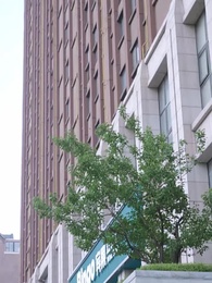 第25集 - 退婚後，她被財閥大佬嬌養了