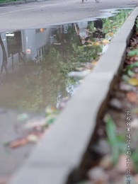 第39集 - 江晚自有舟渡