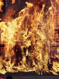 第19集 - 恰逢雁南歸