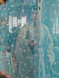 第27集 - 恰逢雁南歸