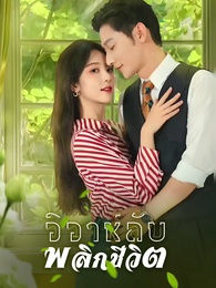 วิวาห์ลับพลิกชีวิต