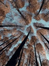 Episode 13 - Fürst Florian und Edeltraud