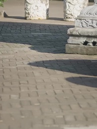 第28集 - 八歲縣太爺