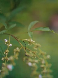 第12集 - 醉劍尋魔錄