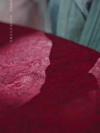 第40集 - 恰逢雁南歸