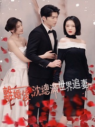離婚後,沈總滿世界追妻