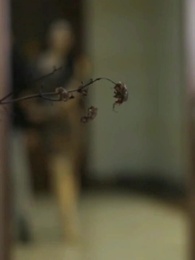 Episode 35 - Charmed by the Beautiful CEO