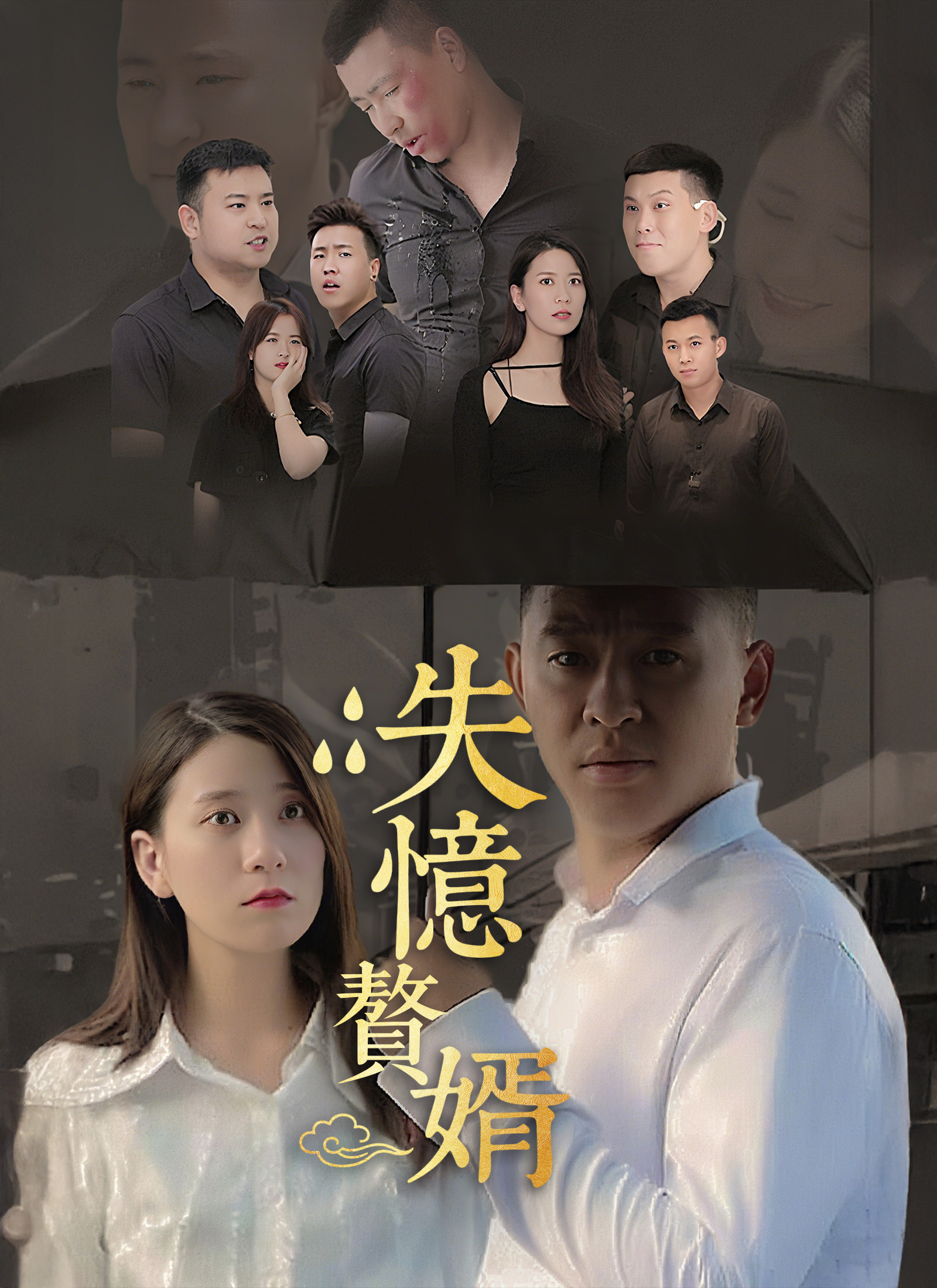《失憶贅婿》封面