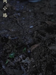 離婚後，沈總滿世界追妻 - Episode 86