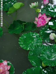 再世不續舊時春 - Episode 28