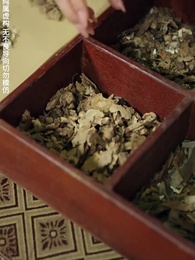 第36集 - 再世不續舊時春