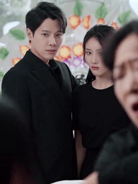 第17集 - 顧總夫人帶球跑