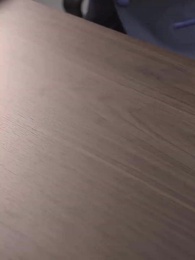 長公主殿下榮耀歸來 - Episode 54