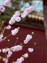 Poder Celestial - Episode 7